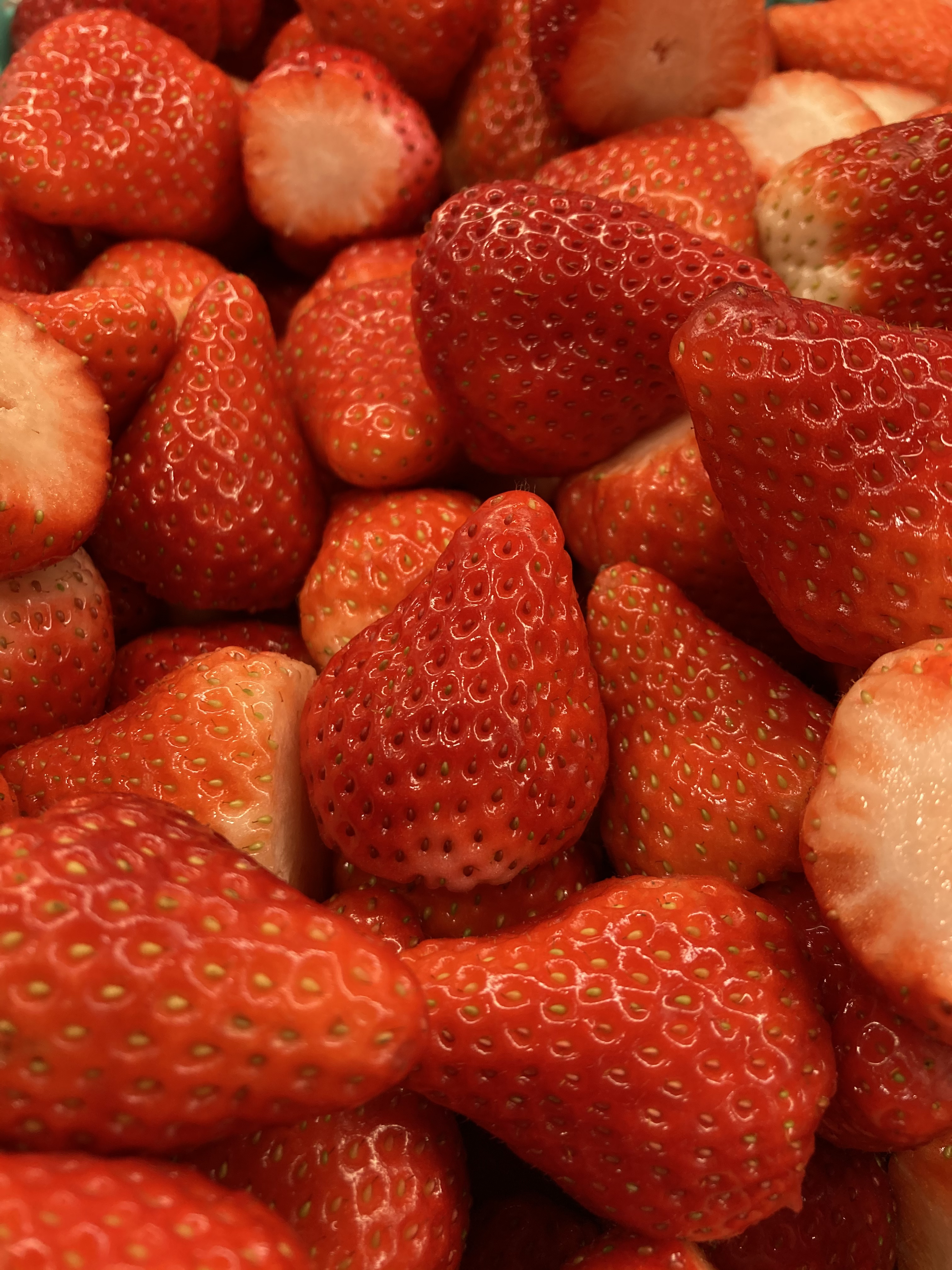 イチゴ大量生産