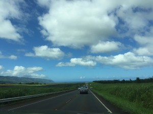 ハワイの道