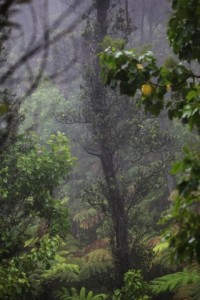 a0782_001167