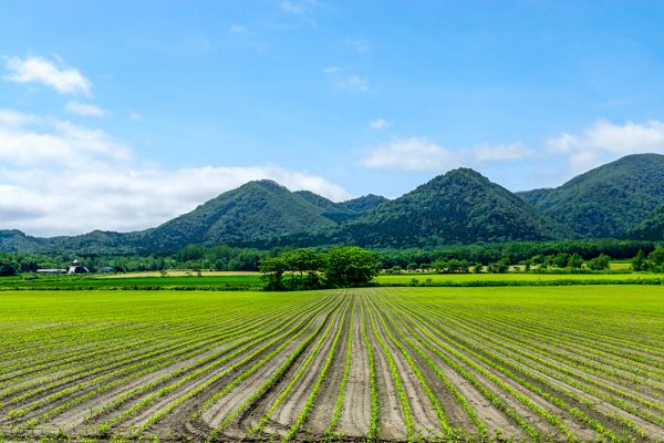 おうちにいながらオンラインで北海道を満喫！「どこでもお祭り北海道」