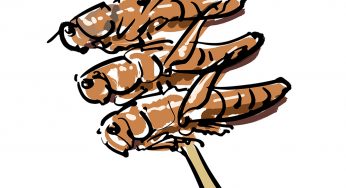 あり？なし？今注目の昆虫食