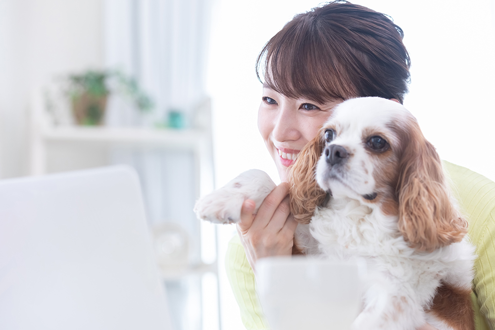 愛犬と一緒に参加♪犬好きオンライン婚活パーティー