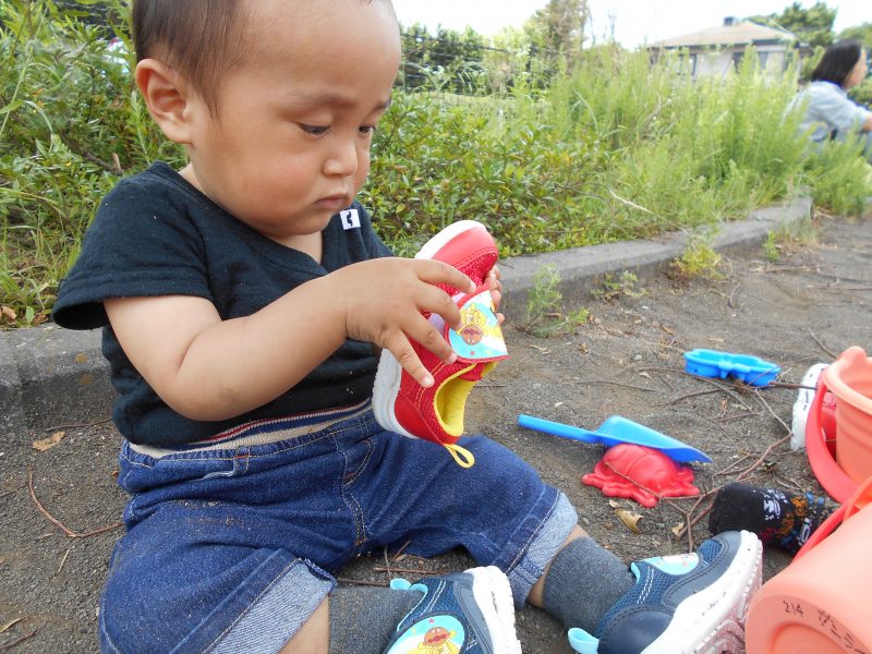 今年もこの季節がやってきましたね(*’▽’)