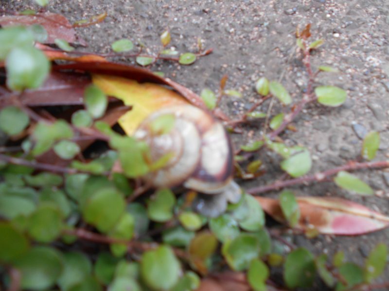 僕たち、私たちは探検隊(^^♪