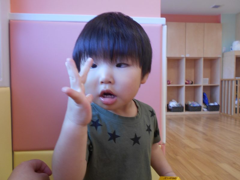 ようこそ、サンライズキッズ保育園　厚木園へ(^^♪