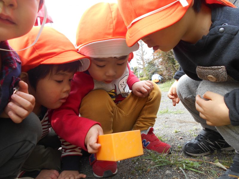 お外は発見がいっぱい✨