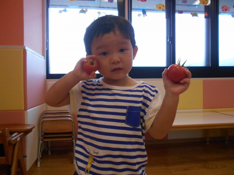 わらべうた祭り