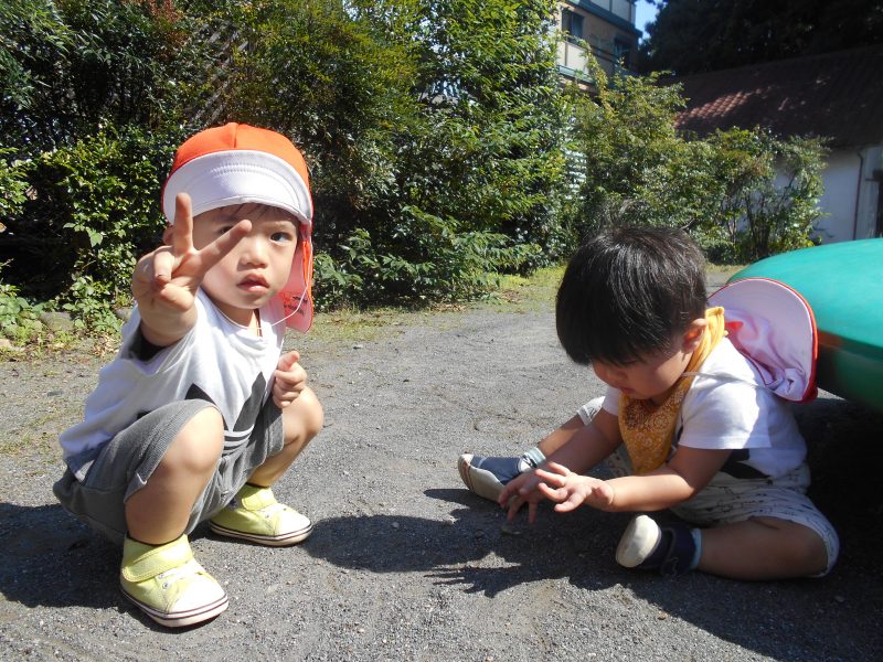 園ブログ　　?秋を楽しんでいます?