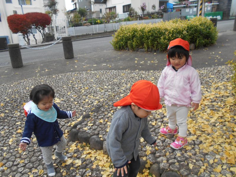 園ブログ　落ち葉遊びをしました?
