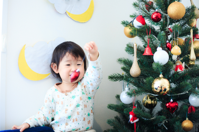 知っている？クリスマスツリーのオーナメントの意味 | 厚木園ブログ