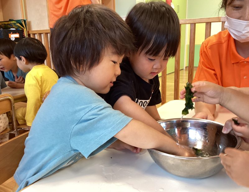 園ブログ　5月の食育活動🍙✨