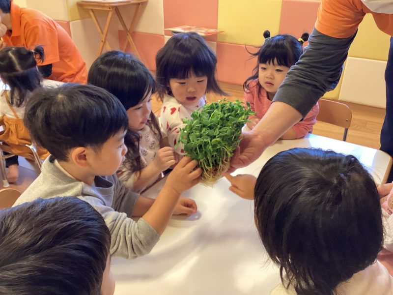 園ブログ　2月の食育活動🌱雪遊び❄️