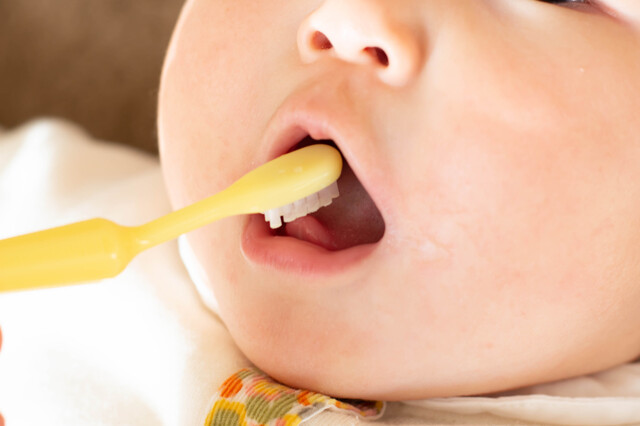 幼児の歯磨き