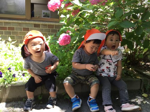 ★可愛い白山園のお子様とあじさい★