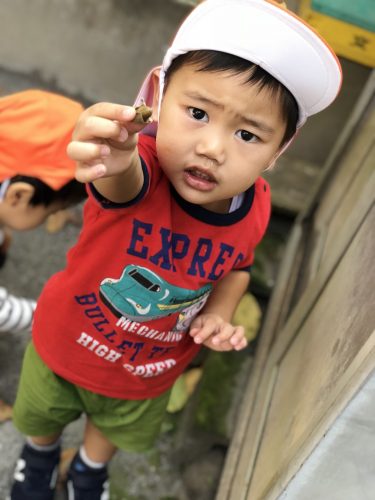 ★どんぐりみ～つけた★