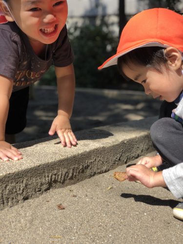★みんな仲良し★