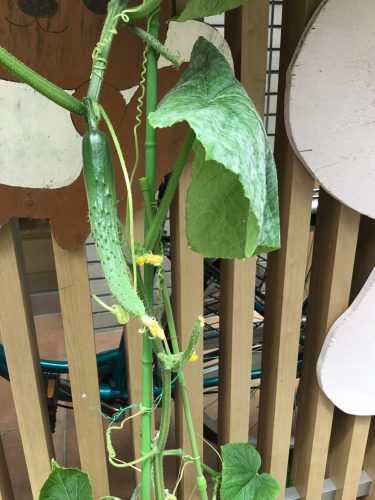 雨の日も楽しく過ごせました☺️