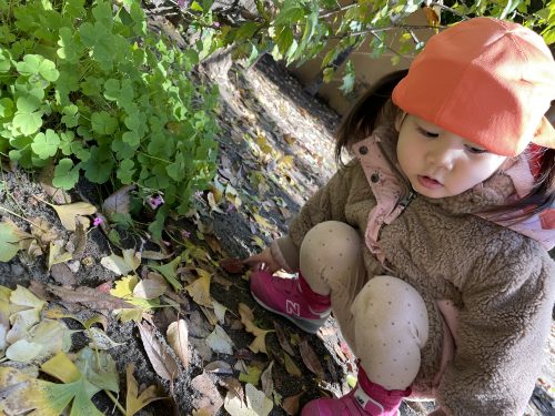 ?みなさま、良いお年を?