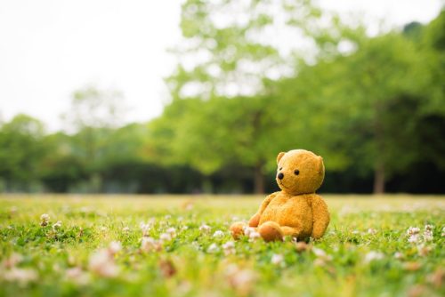 文京区医師会主催【子育て支援セミナー】