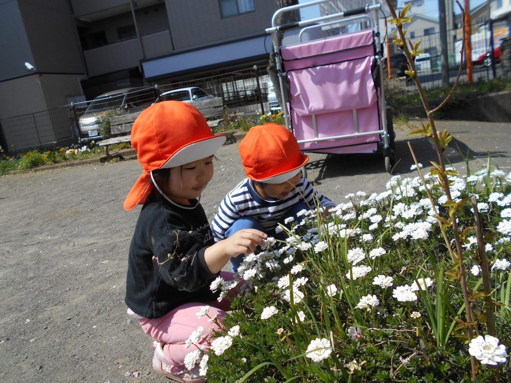 ３月２７日　園ブログ?