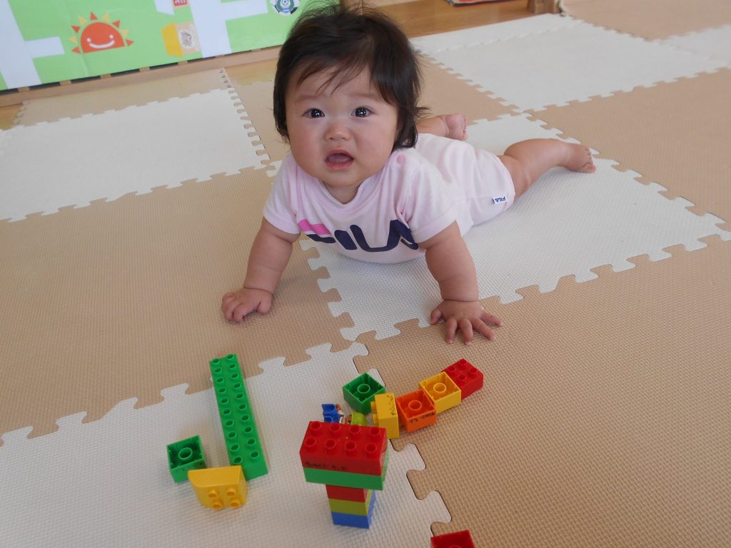 園ブログ　～トマトとサルビアを植えたよ～