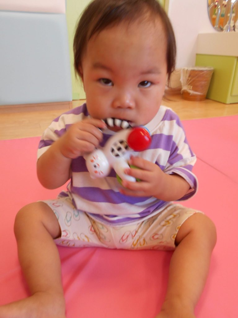 園ブログ　今週の子ども達