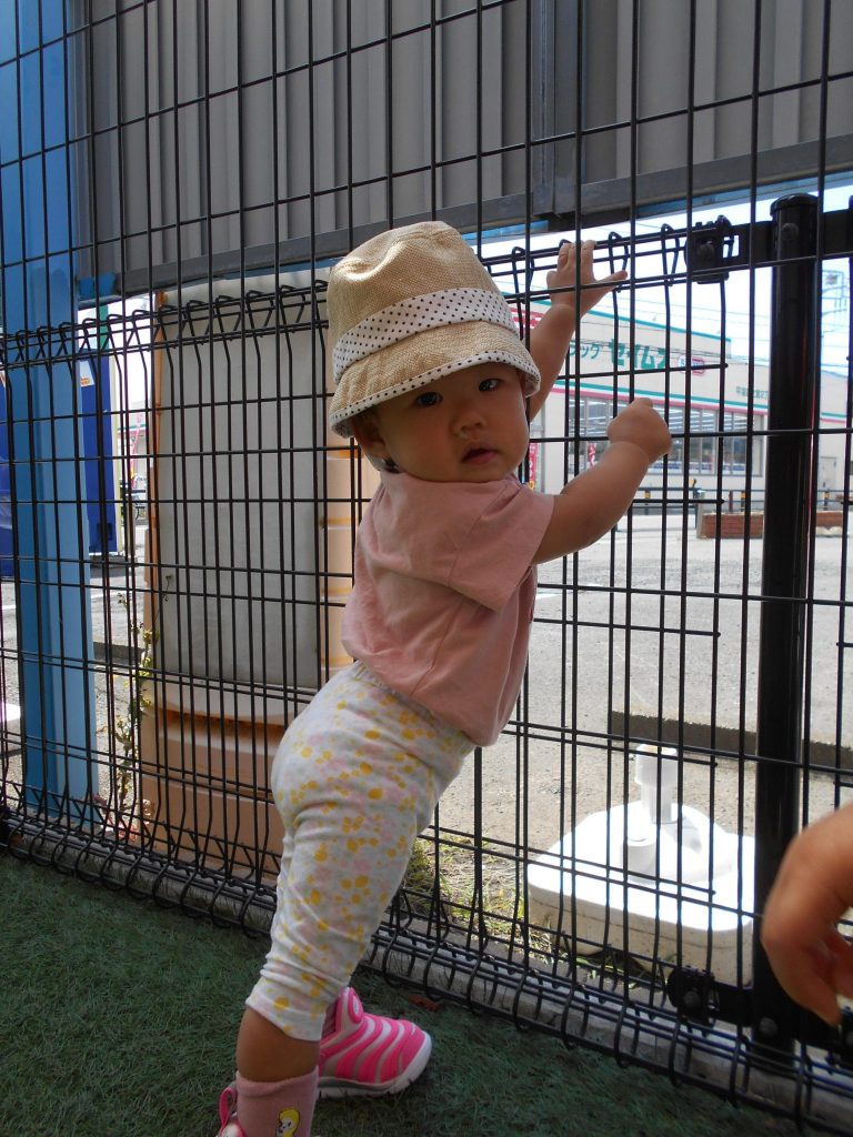 園ブログ    園庭で元気よく遊びました?