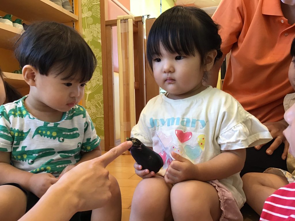 園ブログ　ナスの収穫をしました！