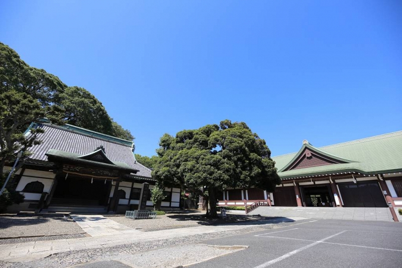 親子で行きたい市川のおススメ初詣スポット