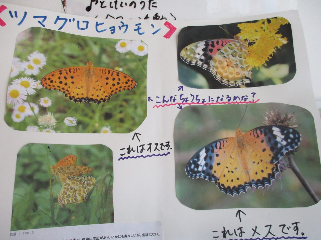 今週の子どもたち♪