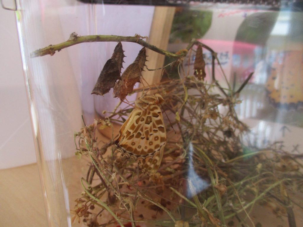 今週の子どもたち♪