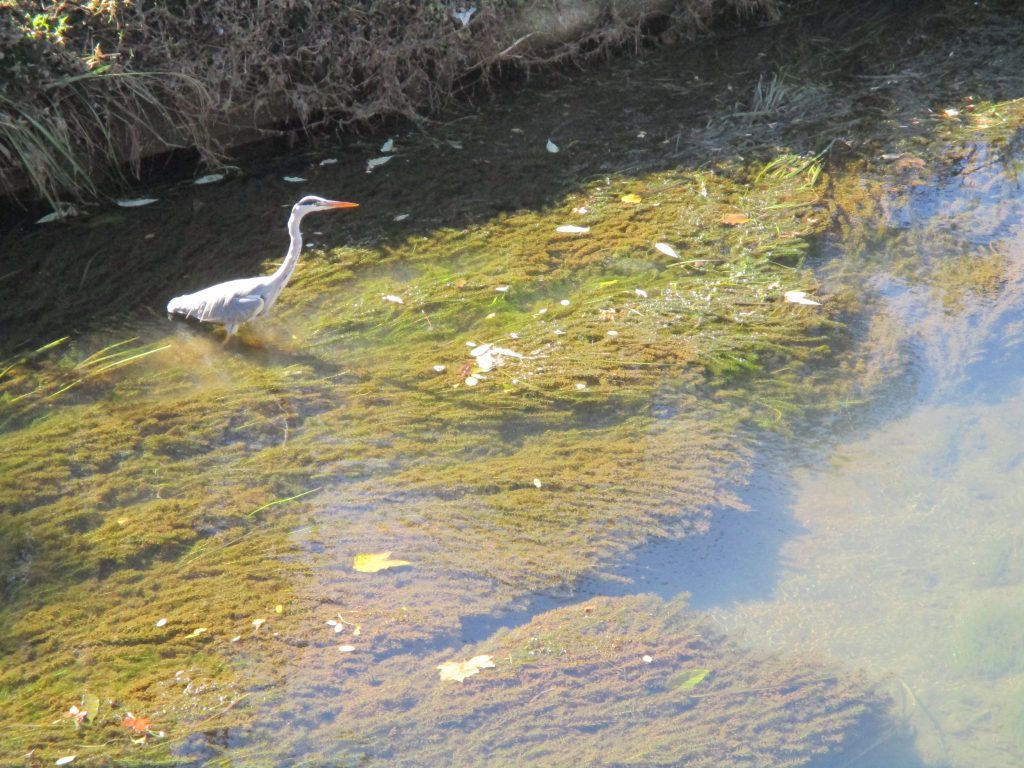 今週の子どもたち♪