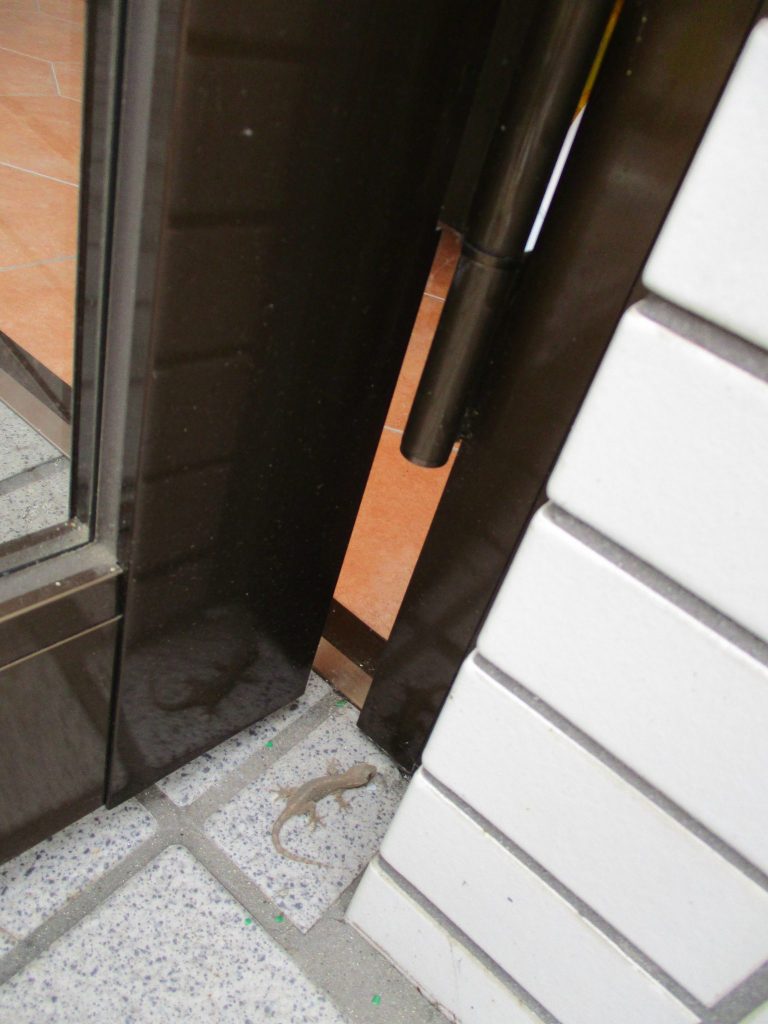 今週の子どもたち♪