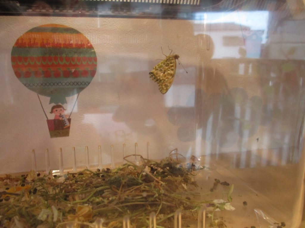 今週の子どもたち♪