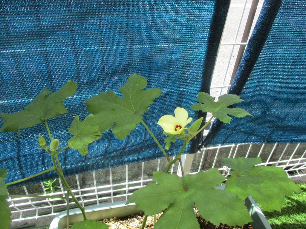 今週の子どもたち♪