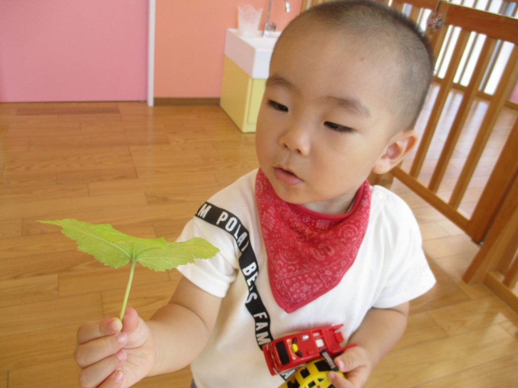今週の子どもたち♪