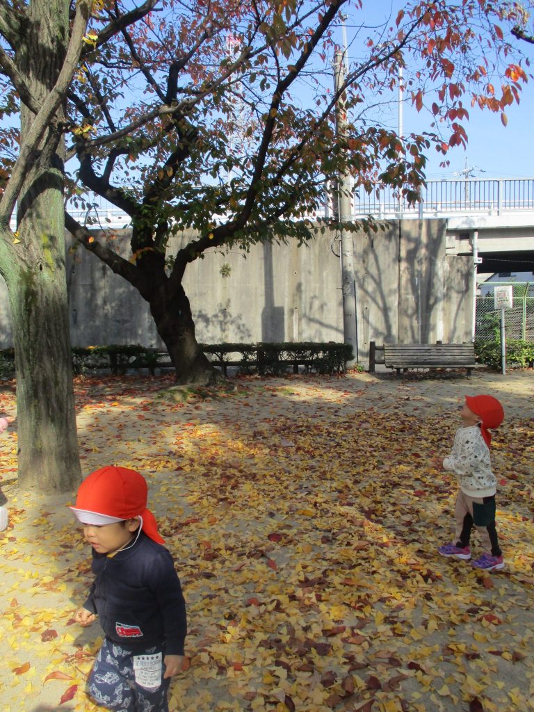 今週の子どもたち♪