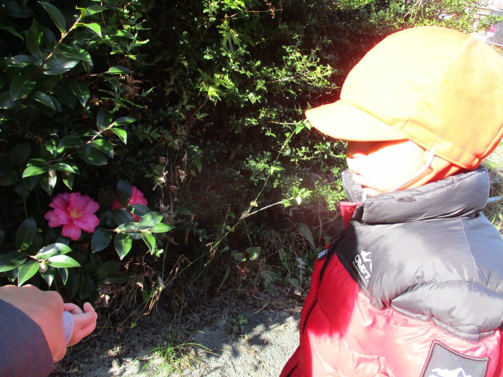 冬？秋？てんとう虫！？