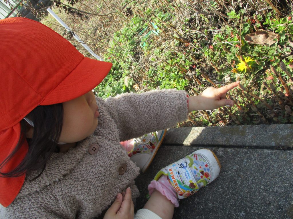 ?絵本読み聞かせプログラム?