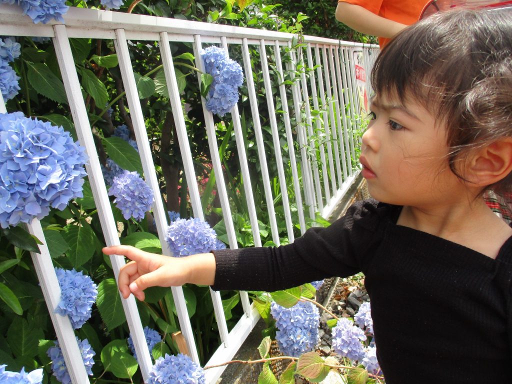今伊勢園に新しいお友だちがきたよ?