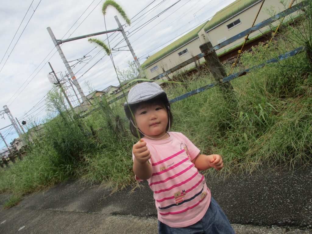 秋の訪れ、、？?