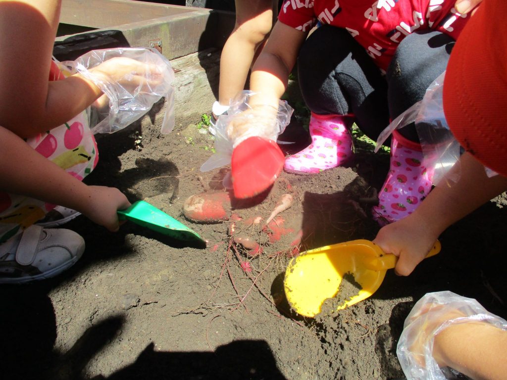 スポーツの秋?？