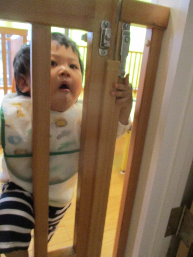 5月11日(木)の給食・おやつ