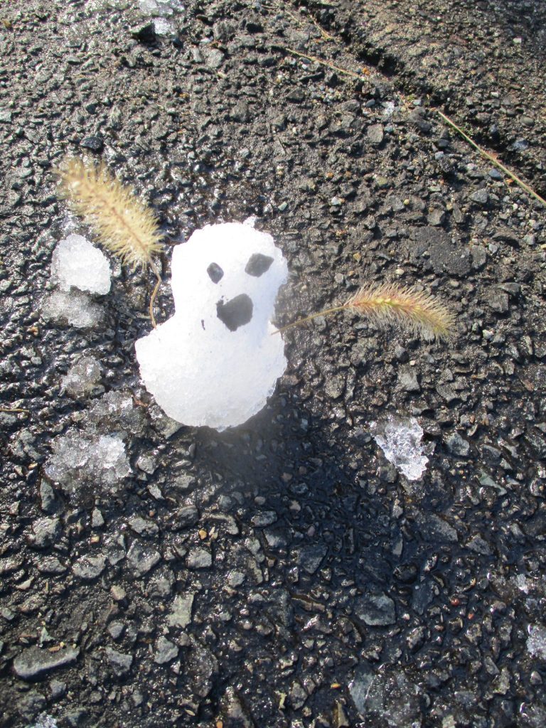 ?絵本読み聞かせプログラム?