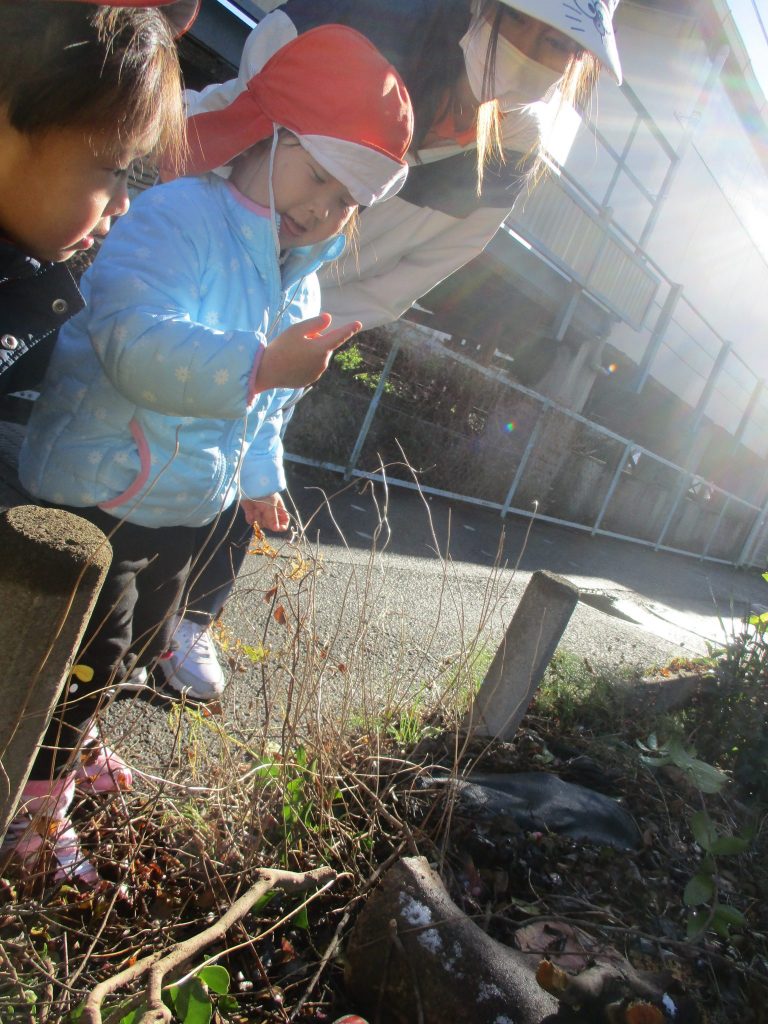 ?絵本読み聞かせプログラム?