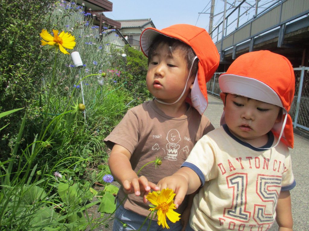 季節は変わり。。。?