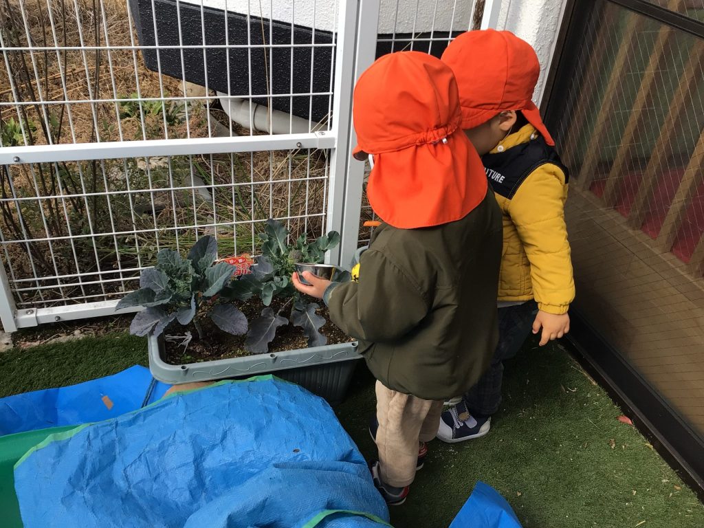 📚絵本読み聞かせプログラム📚