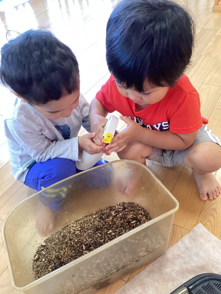 いよいよ夏本番🌞