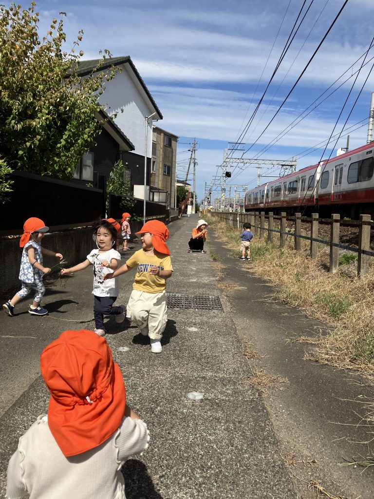 ようやく秋らしくなってきましたね🍠