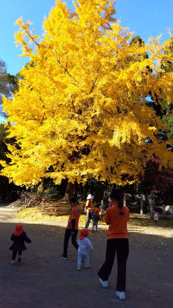 🌟親子発表会🌟